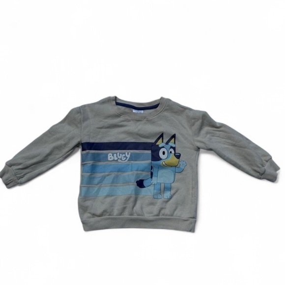 Bluey Other - Kids Bluey Sweatshirt 4T